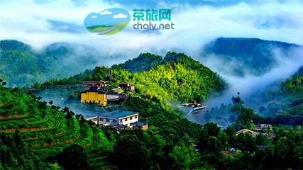 茶香漫山巒，文旅譜新篇——宜賓市敘州區天宮山茶旅融合開發項目有序推進